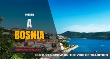 Exploring Bosnia's Size: Geography, Population, and Cultural Footprint