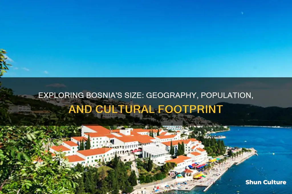 how big a bosnia
