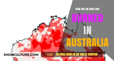 Australia's Bushfires: Devastating Loss of Nature's Habitat