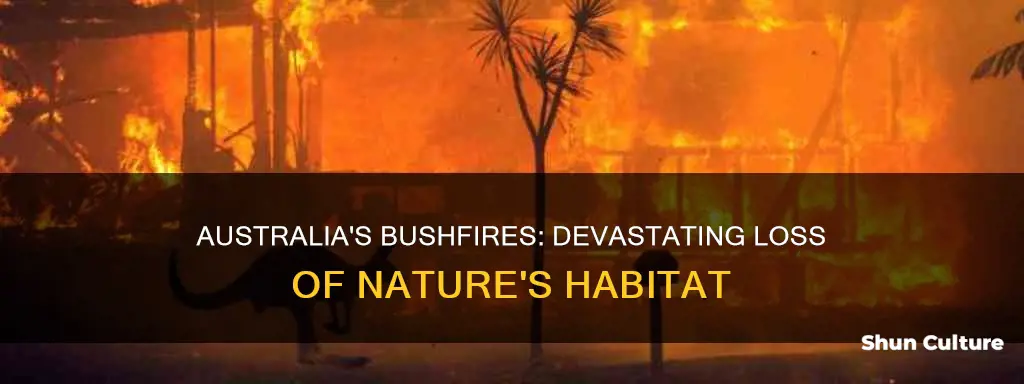 how big an area has burned in australia