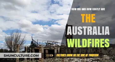 Australia's Wildfires: Devastating Loss and Cost