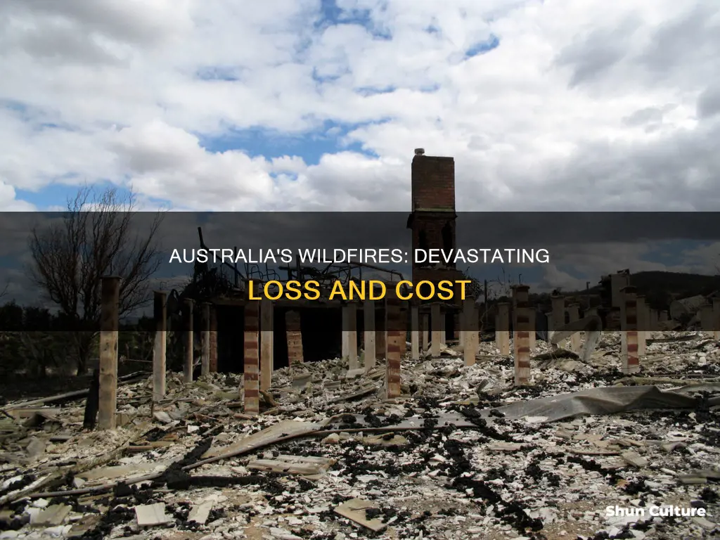 how big and how costly are the australia wildfires