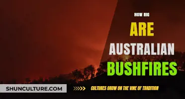 Massive Australian Bushfires: Understanding the Scale and Impact