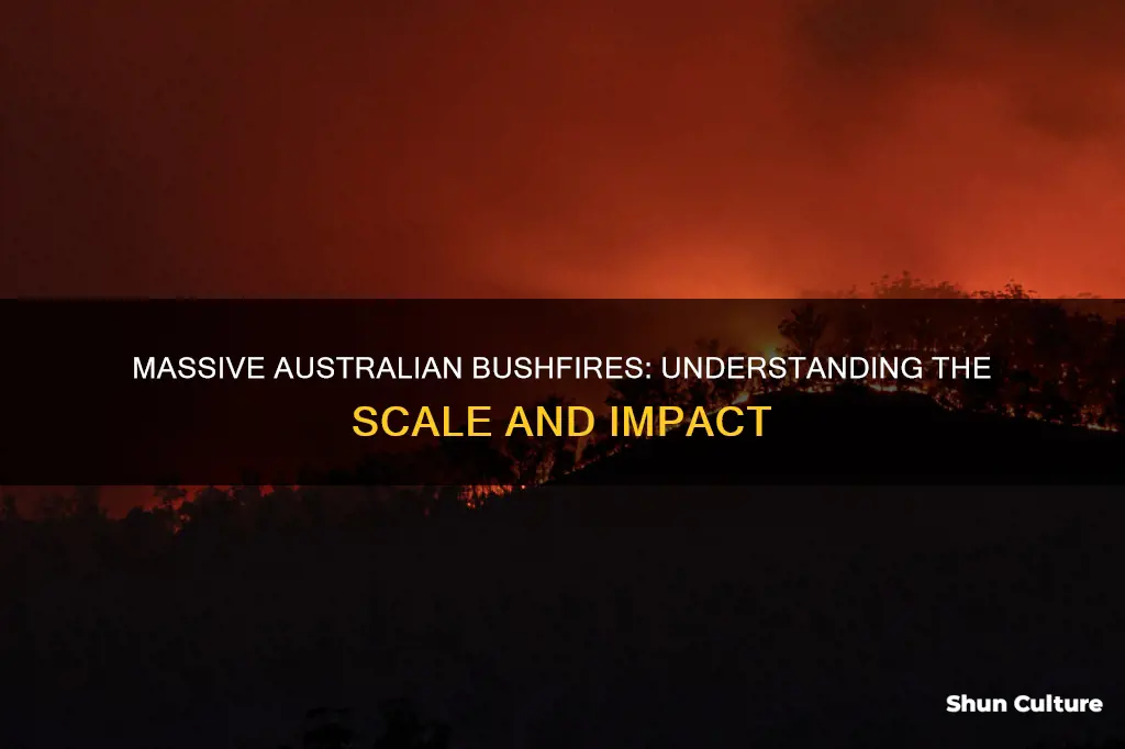 how big are australian bushfires