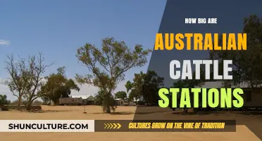 Massive Cattle Stations of Australia: How Big Are They?