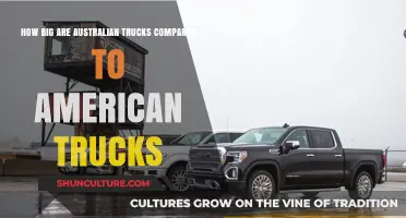 Truck Size Face-Off: Australia vs. America