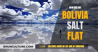 Salt Flats in Bolivia: A Vast White Desert