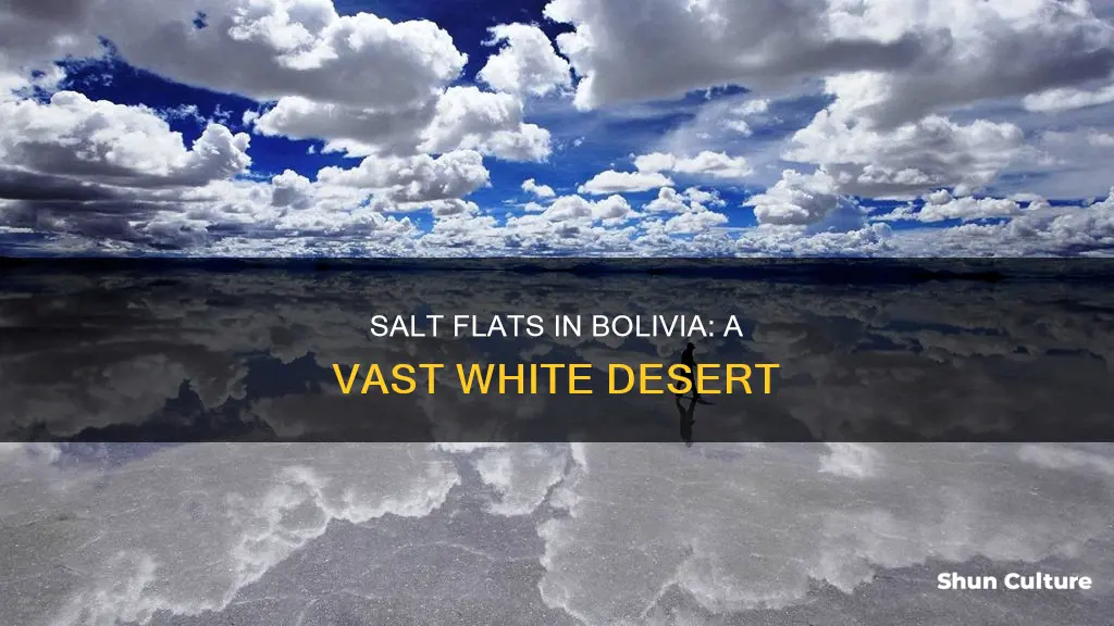 how big are bolivia salt flat