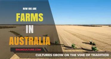 Exploring Australia's Vast Farmland: How Big Are Its Farms?