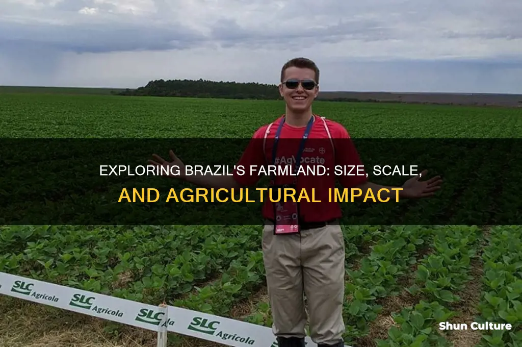 how big are farms in brazil