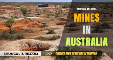 Opal Mines in Australia: How Big Are They?