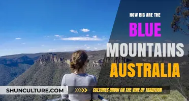 Exploring the Vast Blue Mountains in Australia