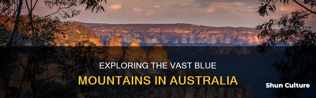 how big are the blue mountains australia