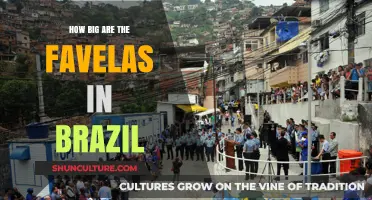 Exploring Brazil's Favelas: Size, Scope, and Societal Impact