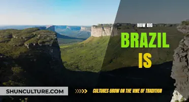 Exploring Brazil's Vast Size: Geography, Population, and Cultural Diversity