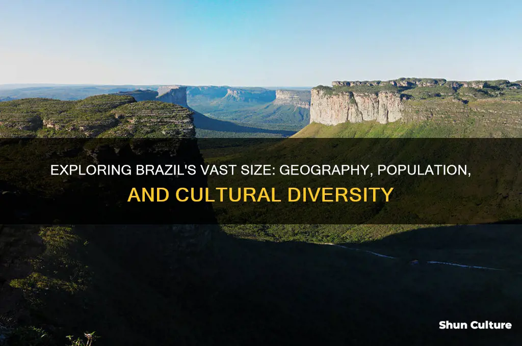 how big brazil is