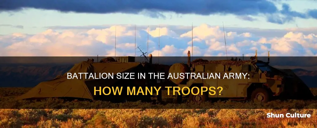 how big is a battalion in the australian army