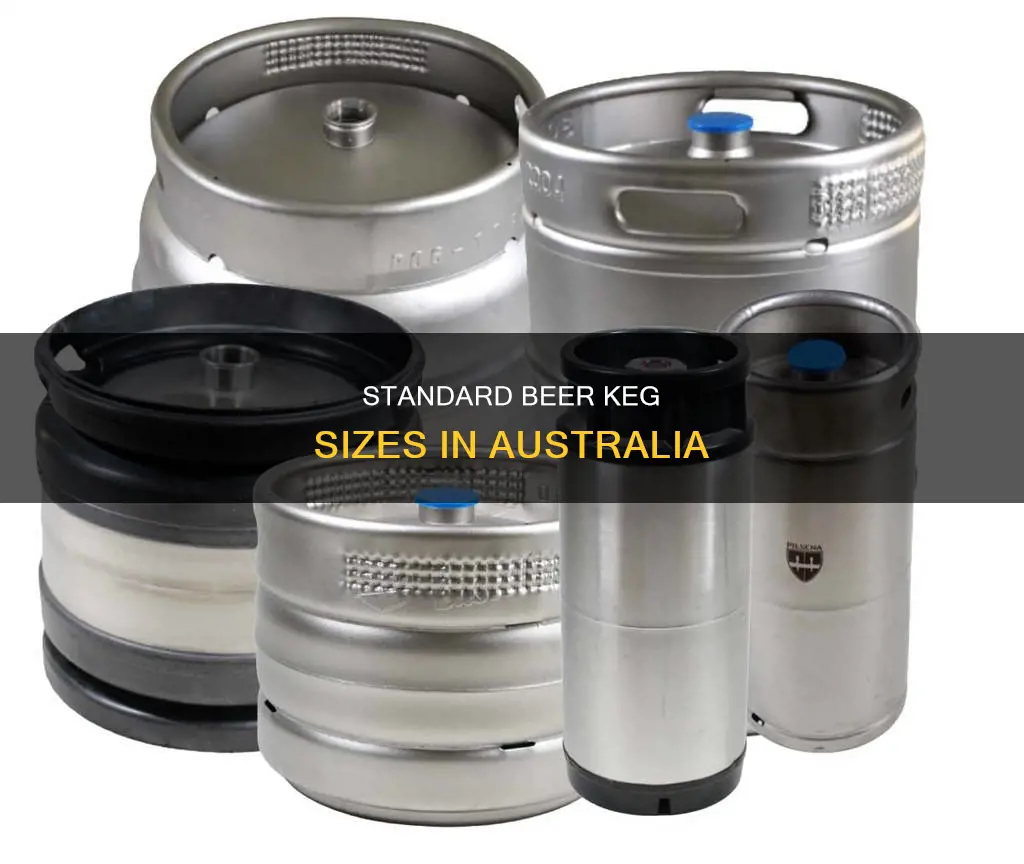 how big is a beer keg australia