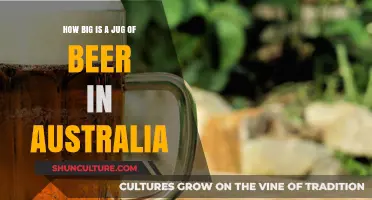 Beer Jug Size in Australia: How Big?