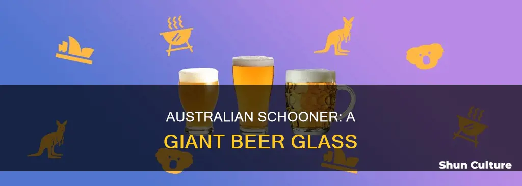 how big is a schooner of beer in australia