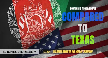 The Size Conundrum: Afghanistan and Texas in Perspective