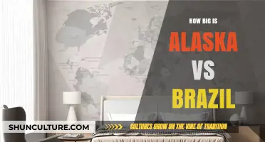 Alaska vs. Brazil: Comparing the Size of Two Vast Territories