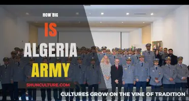 Exploring the Size and Strength of Algeria's Military Forces