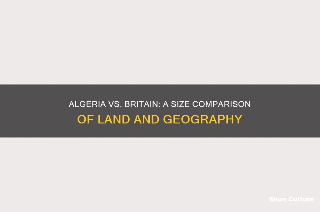how big is algeria compared to britain