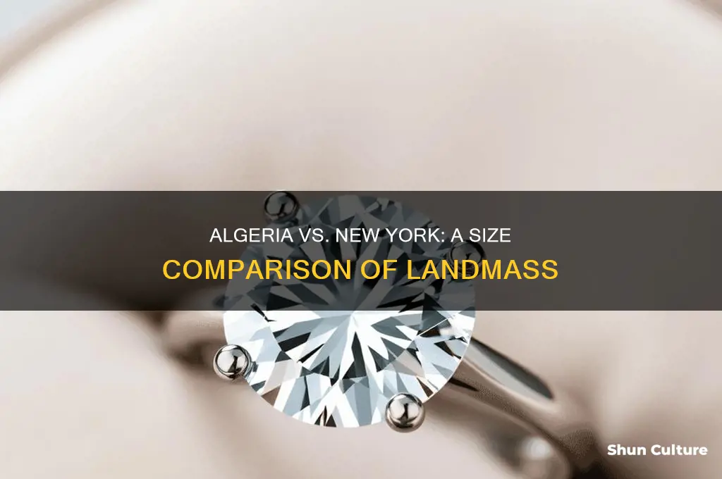 how big is algeria compared to new york state