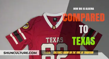 Algeria vs. Texas: A Size Comparison of Land and Geography