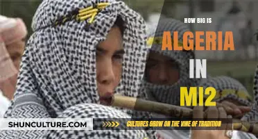 Algeria's Size: Exploring Its Vast Area in Square Miles