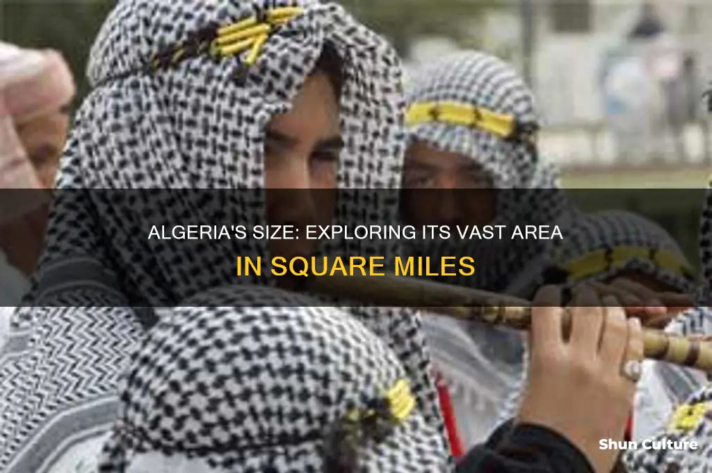 how big is algeria in mi2