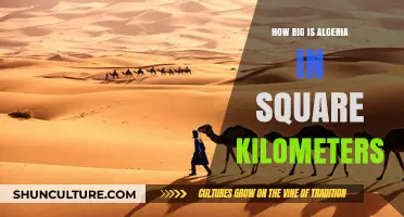 Exploring Algeria's Vast Size: Total Area in Square Kilometers