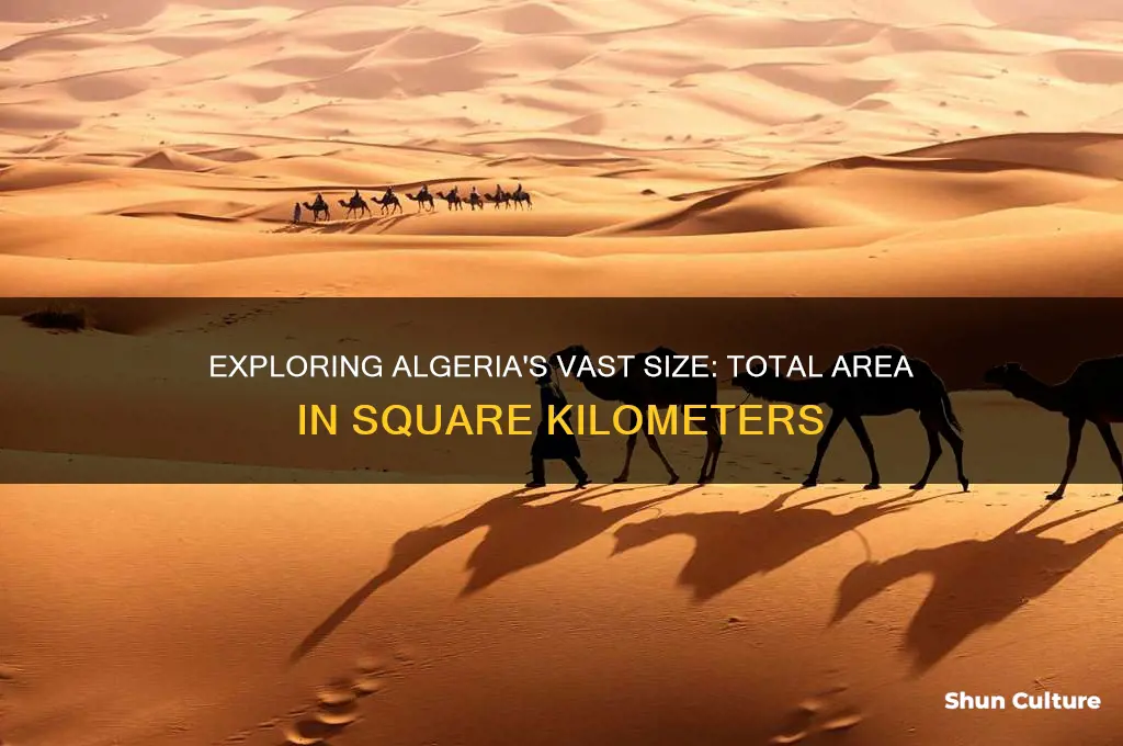 how big is algeria in square kilometers