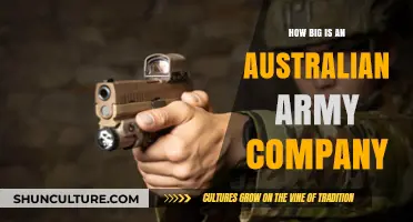 Australian Army Companies: Size and Structure Explained