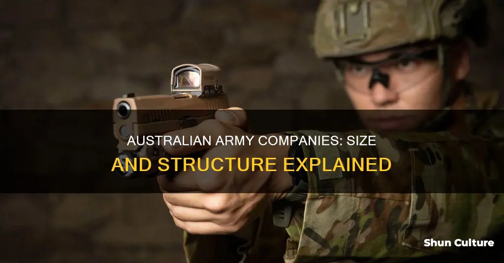 how big is an australian army company