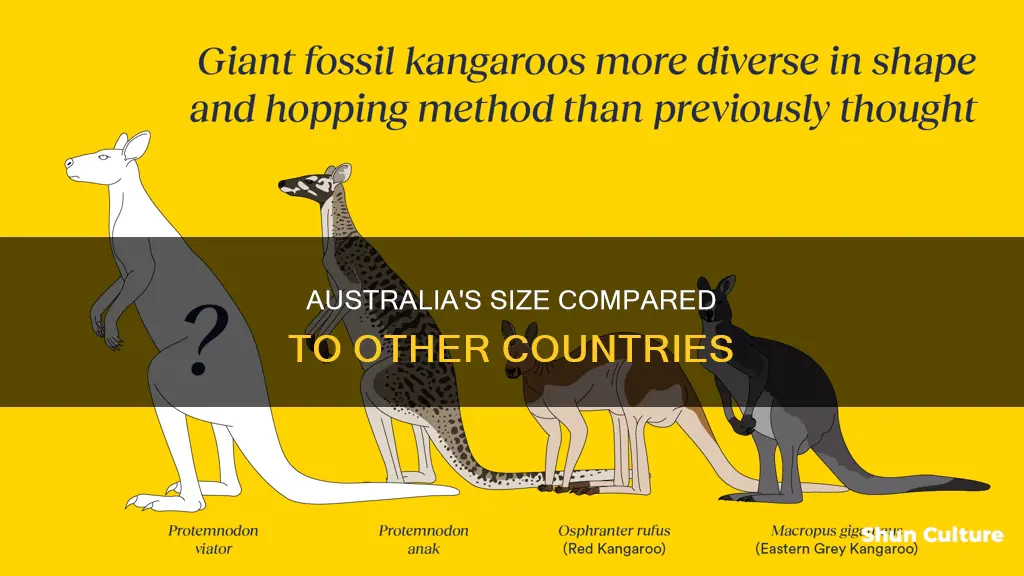 how big is australia compared to other countries