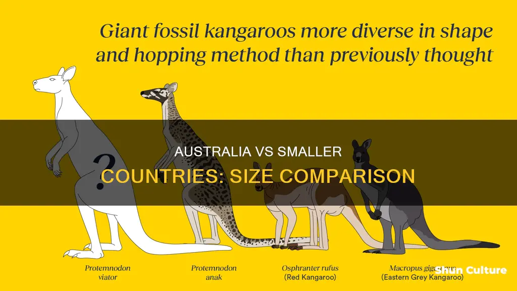 how big is australia compared to the next smallest country