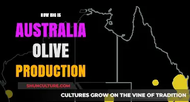 Australia's Olive Oil Production: A Global Perspective