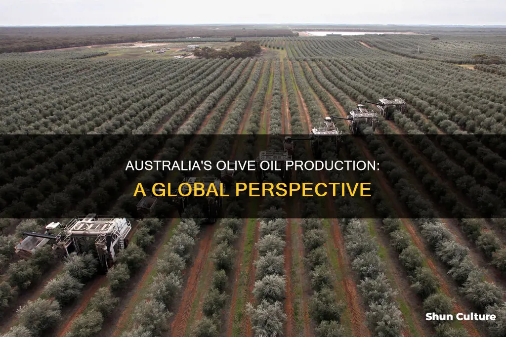 how big is australia olive production