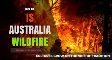 Australia's Wildfires: Devastating Loss and a Global Concern