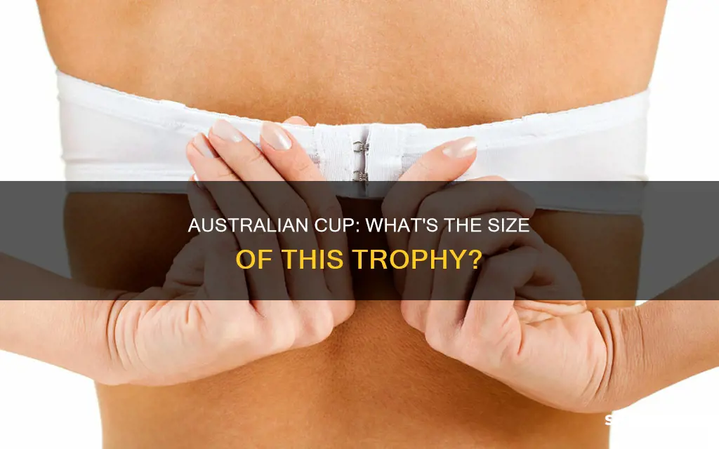 how big is australian cup