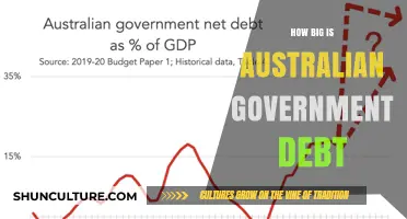 Australian Government Debt: How Big Is It?