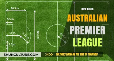 Australian Premier League: A Growing Football Powerhouse