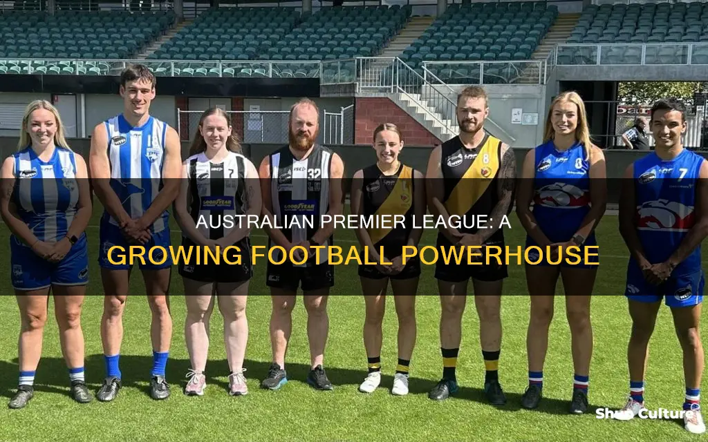 how big is australian premier league