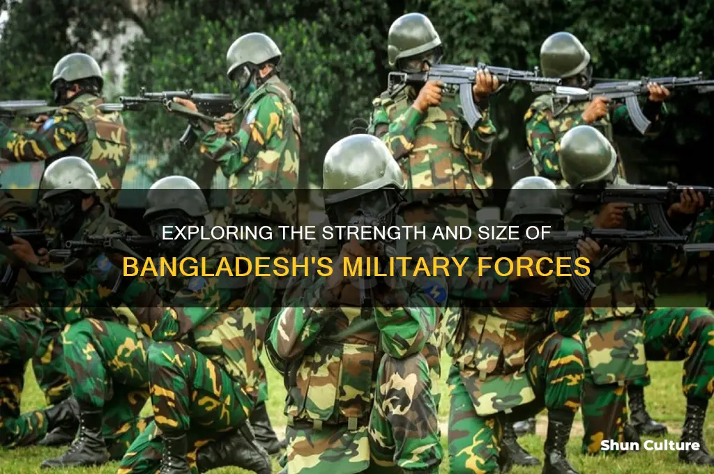 how big is bangladesh army