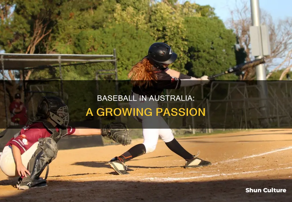 how big is baseball in australia