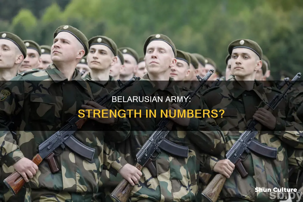 how big is belarus army