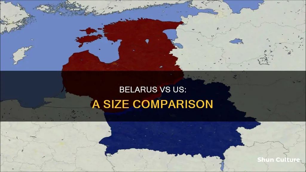 how big is belarus compared to the us