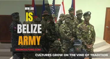 Belize's Army: A Small But Mighty Force